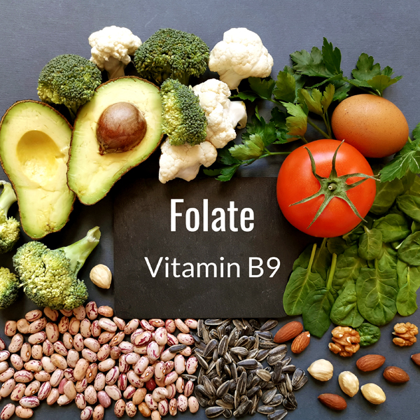 Folate and Folic Acid (Vitamin B9)