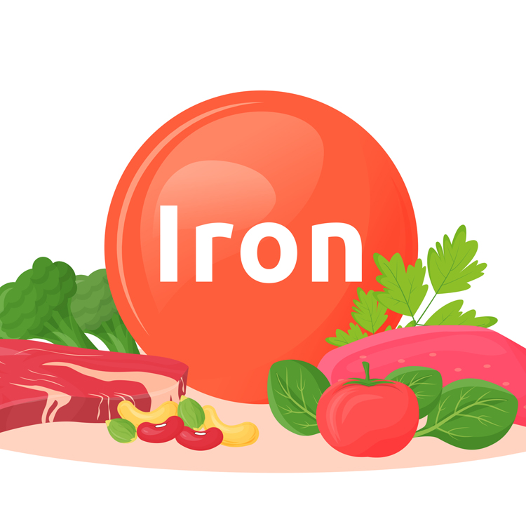 Ferritin and Iron