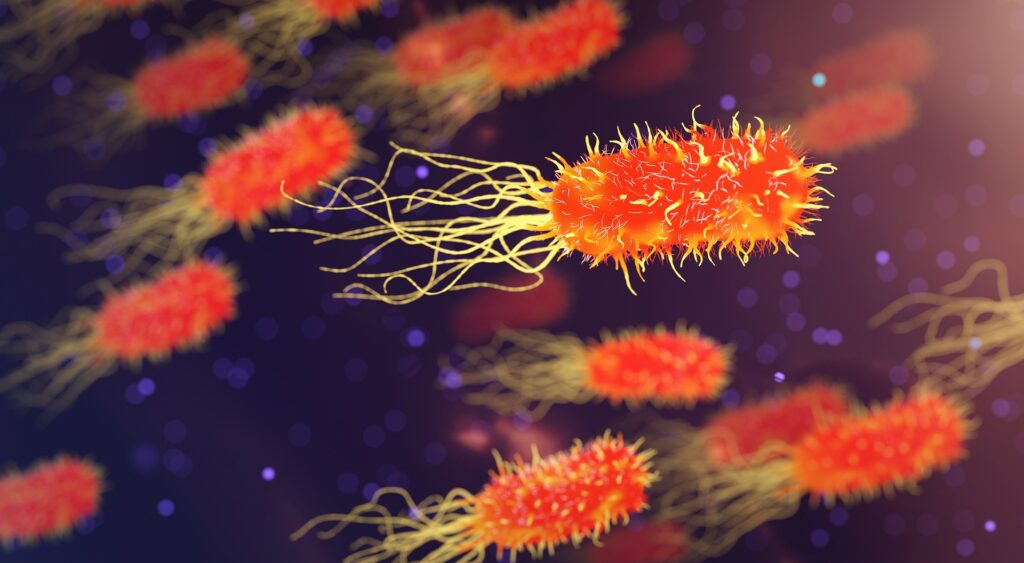 H. Pylori Infection: Symptoms, Diagnosis, & Treatment