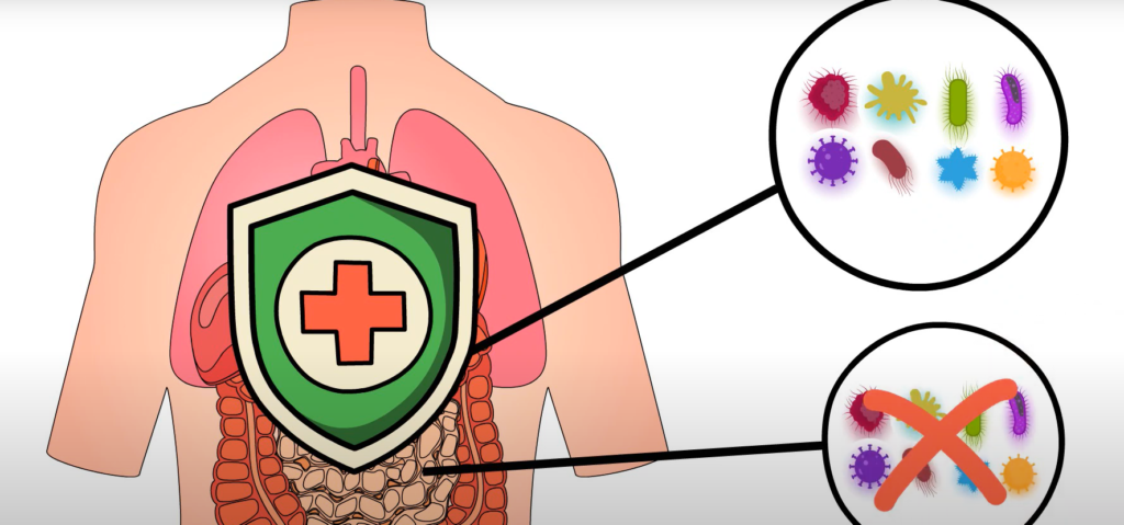 SIBO and IBS. How does SIBO cause symptoms?