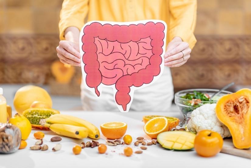 PROBIOTICS FOR HEALTHY GUT